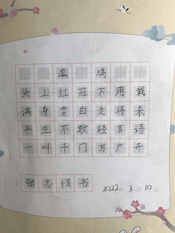 龟小兔写字优秀作品展示：张志恒/二年级