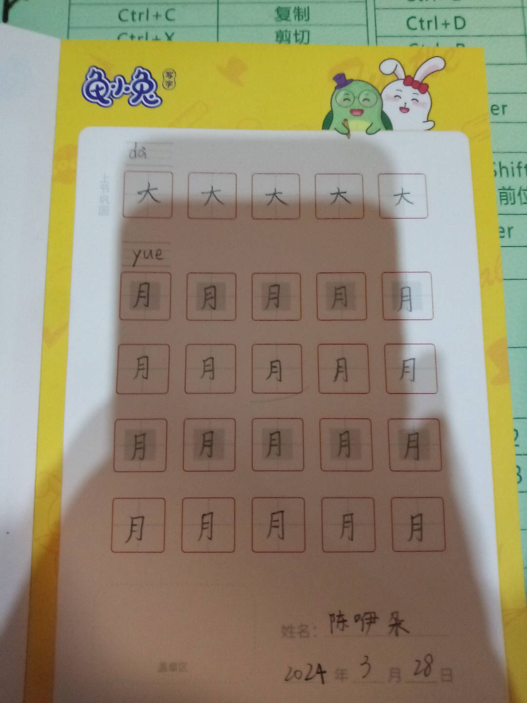 龟小兔写字优秀作品展示：陈咿朵/四年级/练字1天
