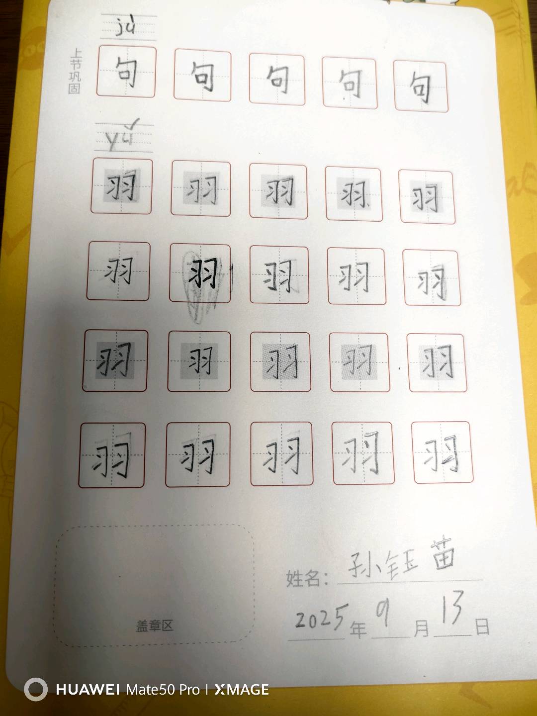 龟小兔写字优秀作品展示：孙钰苗/二年级/练字1天