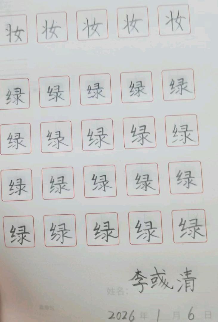 龟小兔写字优秀作品展示：李彧清/二年级/练字1天